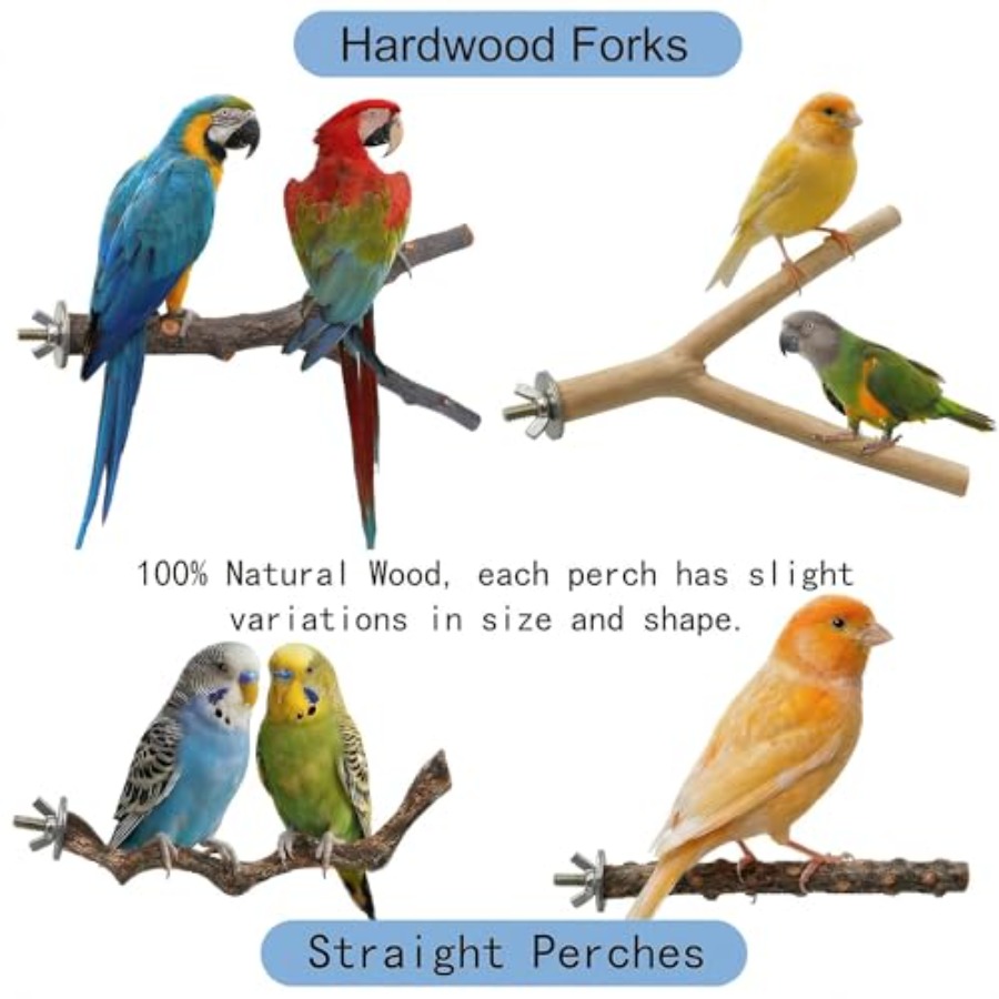 8PCS natural wood bird perches - огляд і ціна Health & Wellness Unlimited